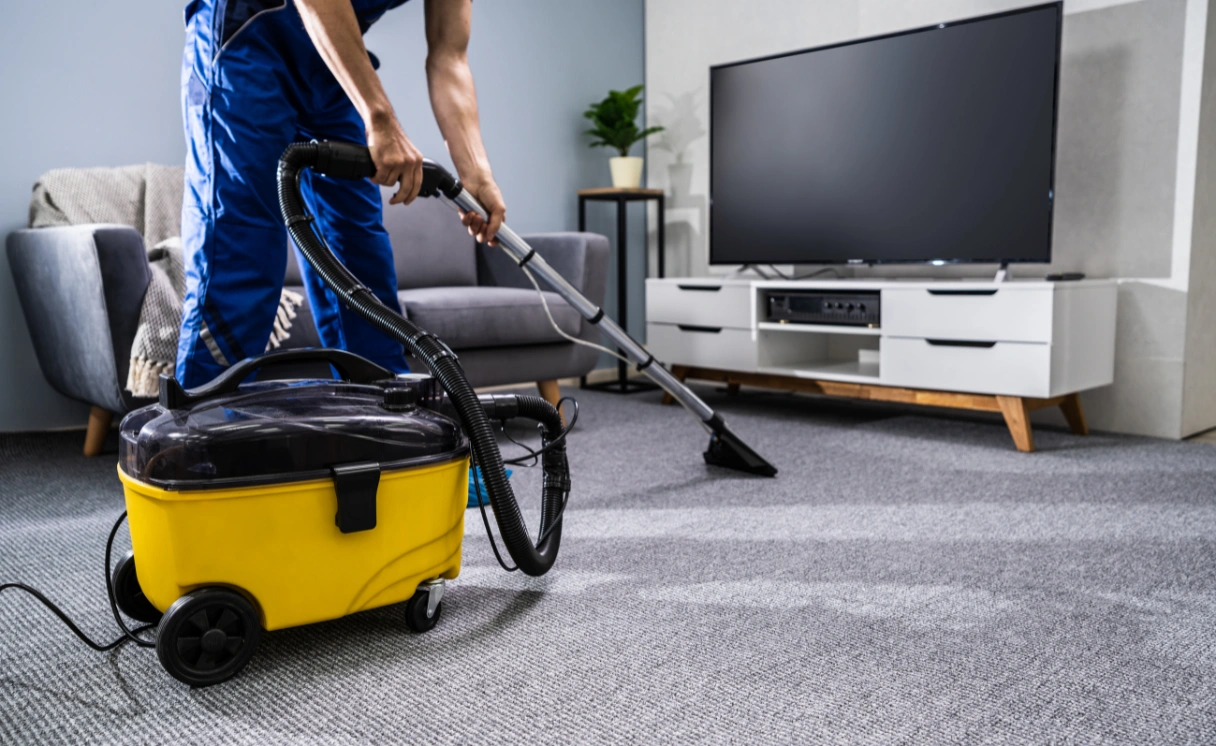 Extract Carpet Cleaning Watsonia Contact Office